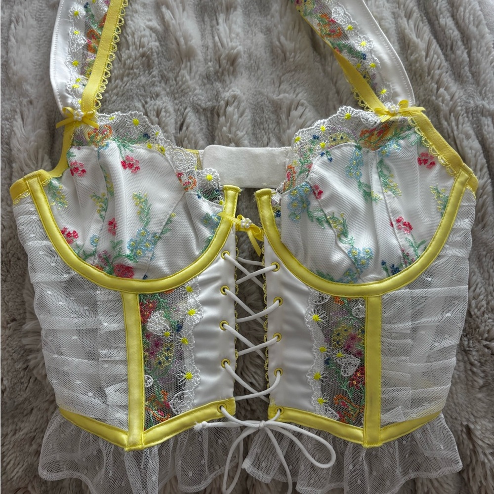 For love and lemons Floral Embroidered corset